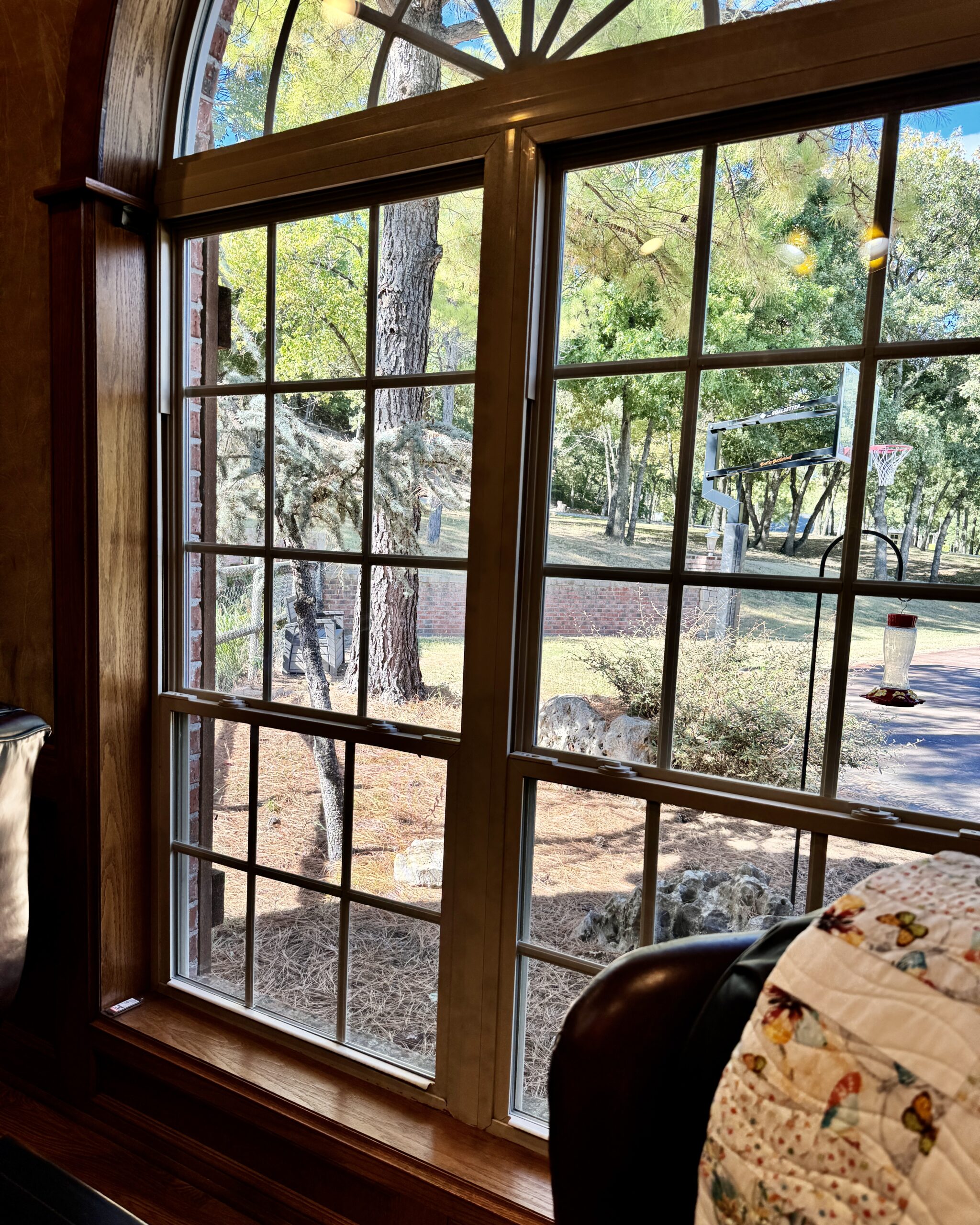 view out window of bird feeder